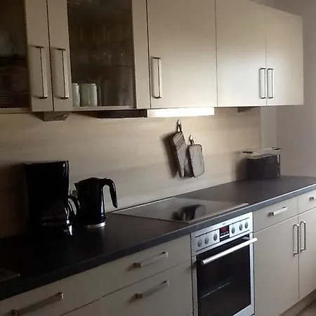 Holiday home Guenther Aue (Saxony)